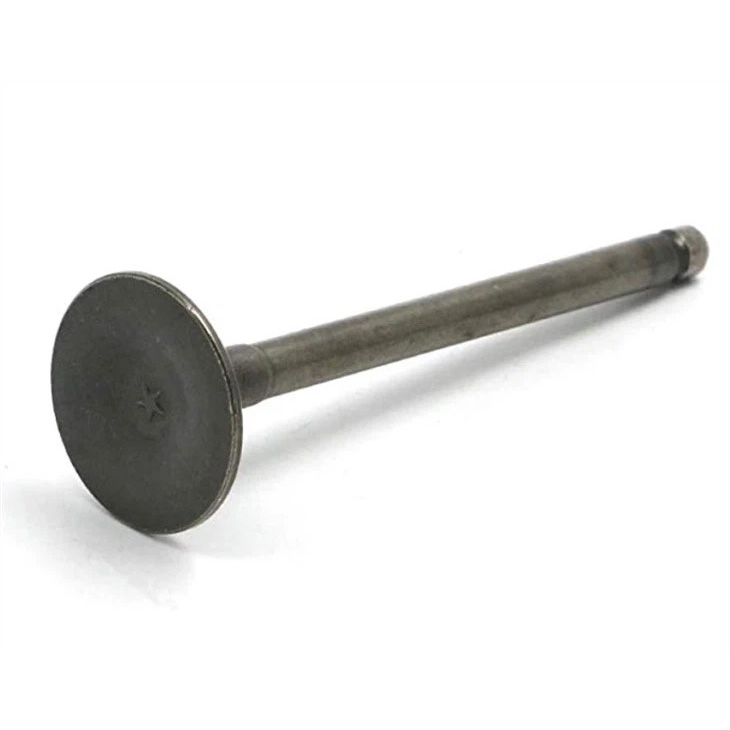 Motorcycle IIntake & Exhaust Valve