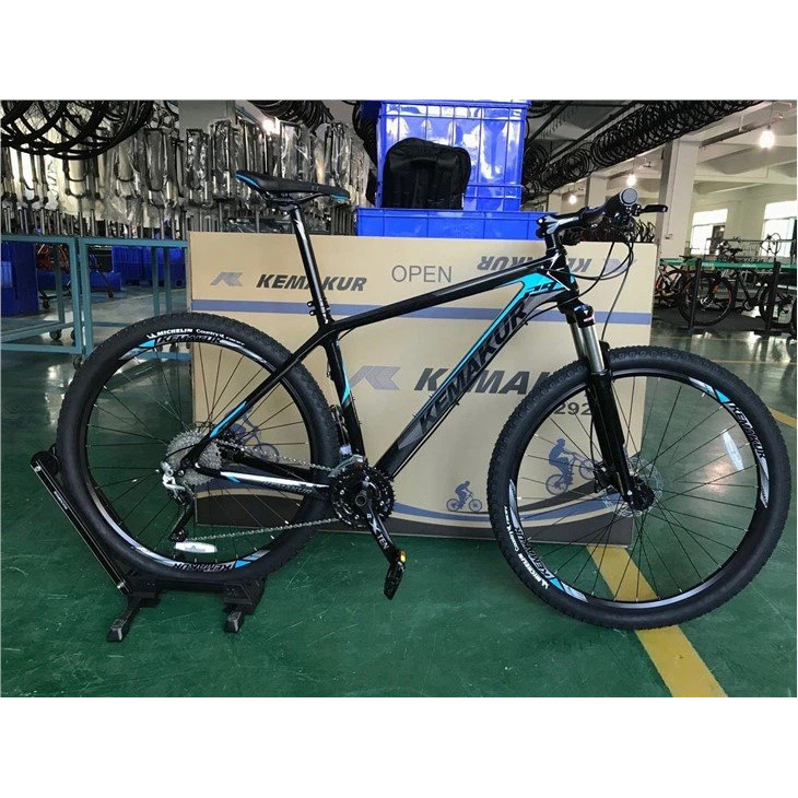 Size 29 Carbon Fibre Mountain Bike