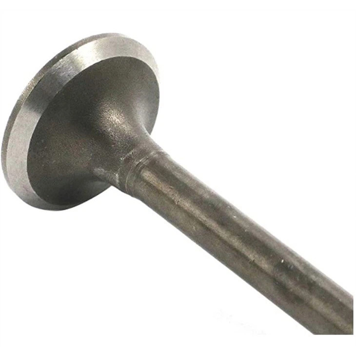 Motorcycle IIntake & Exhaust Valve