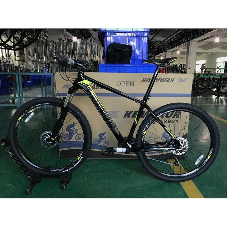Size 29 Carbon Fibre Mountain Bike
