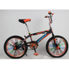 20 Inch Freestyle BMX