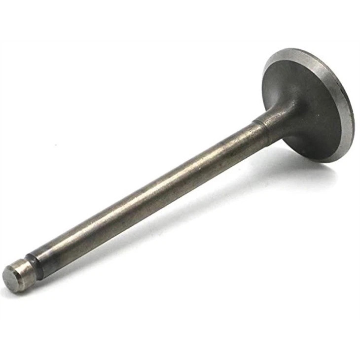 Motorcycle IIntake & Exhaust Valve