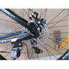 Size 29 Male Alloy Mountain Bike