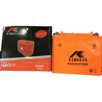 Motorcycle Battery