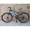 Size 29 Male Alloy Mountain Bike