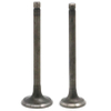 Motorcycle IIntake & Exhaust Valve