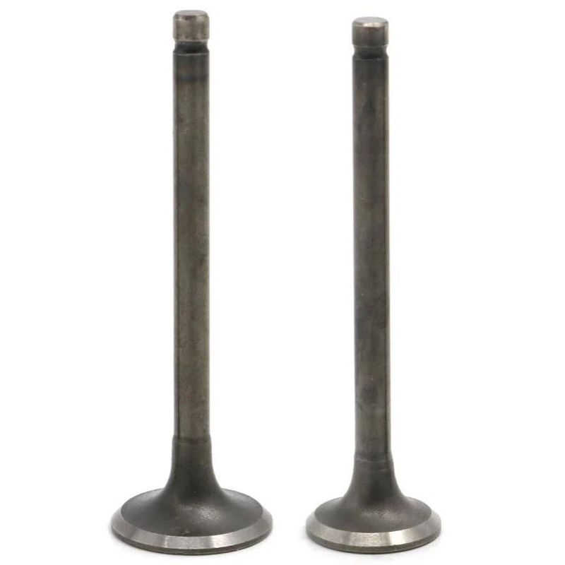 Motorcycle IIntake & Exhaust Valve