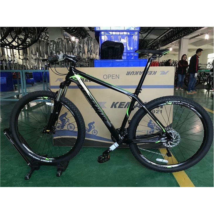 Size 29 Carbon Fibre Mountain Bike